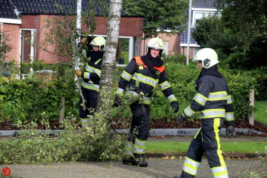 Jose Vigevenoweg Sumar - Jeffrey Klaaijssen